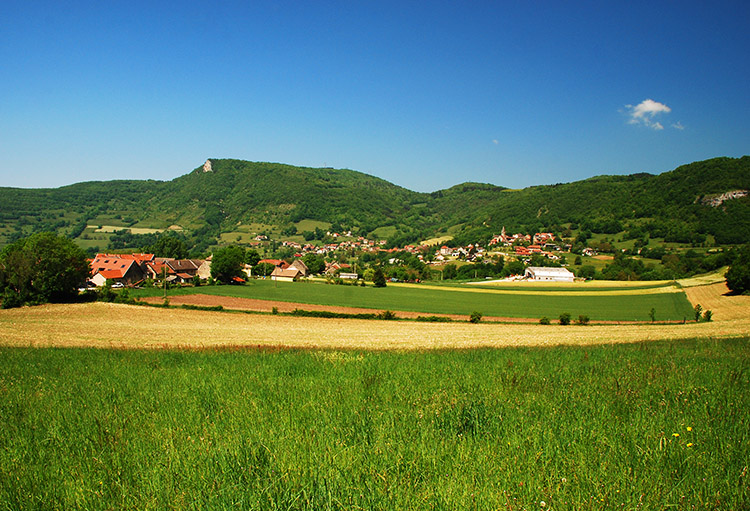 cave_martiniere_-_vignettes_-_regions_viticoles_-__0011_bugey_448942552
