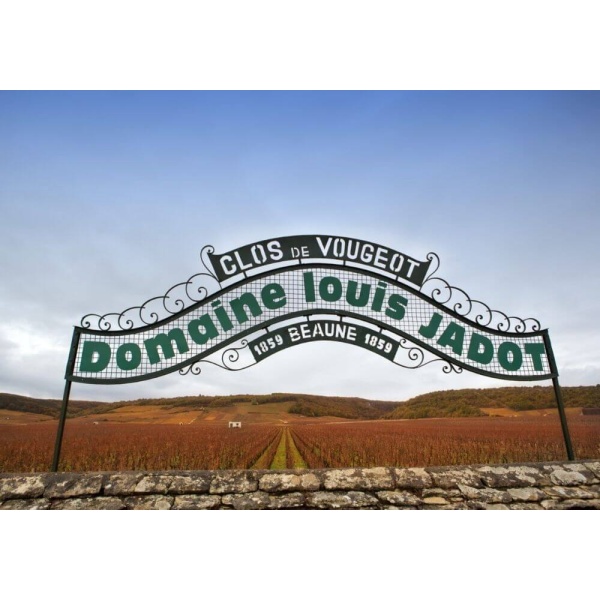 Maison Louis Jadot