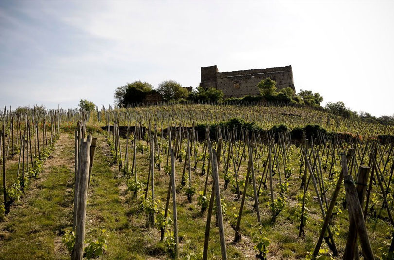 vienne